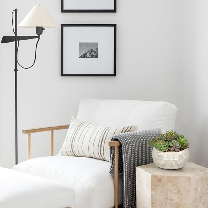 DILATATA Artificial Succulent Plants in Pot 5.5 Inch Fake Succulents Arrangement Potted Plant in White Ceramic Planter Bowl for Home Office Desk Shelf Living Room Bedroom Bathroom Decor