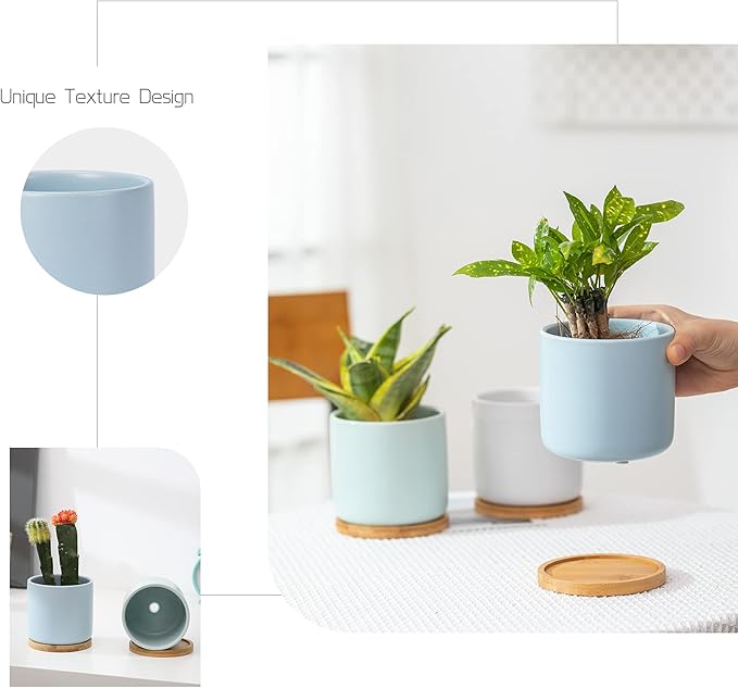 OMAYKEY Succulent Pots, 4 Inch Ceramic Planter Plant Pot with Tray, Drainage Hole & Mesh Pad for Indoor Flowers, Cactus, Herbs, Aloes - Cool Multicolor, Set of 4 (Plant Not Included)