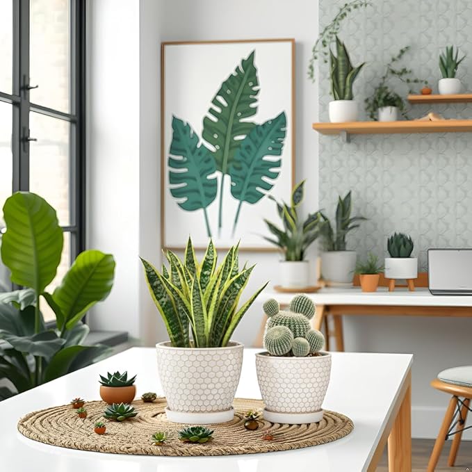 Docrin Ceramic Plant Pots Indoor, 6.6 + 5.5 Inch Flower Pots with Drainage Holes and Saucer for Plants, Set of 2, Milky White Honeycomb