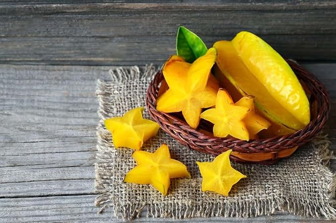 Premium Carambola Potting Soil Mix - Perfect Balance of Nutrients, Drainage, and Aeration for Thriving Starfruit Trees - 1 Quart