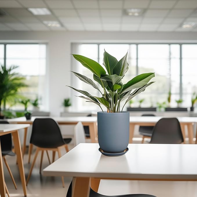 Ceramic Pot for Plants - 8 Inch Plant Pot for Indoor Plants Outdoor Ceramic Planter Large Flower Pot with Drainage Hole and Saucer for Home Garden Decor Gray