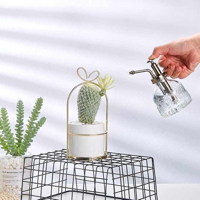 Glass Plant Mister Spray Bottle, 6.5" Tall Vintage Plant Spritzer Watering Can, Succulent Watering Bottle with Top Pump, Small Plant Sprayer Mister for Indoor Outdoor House Plant - Clear