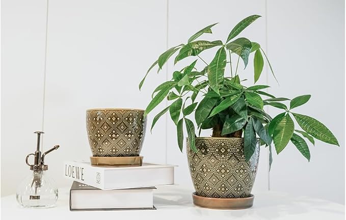 Docrin Ceramic Plant Pots Indoor, 6.6 + 5.5 Inch Planters with Drainage Holes and Saucer for Home/Office - Set of 2 /Dark Green