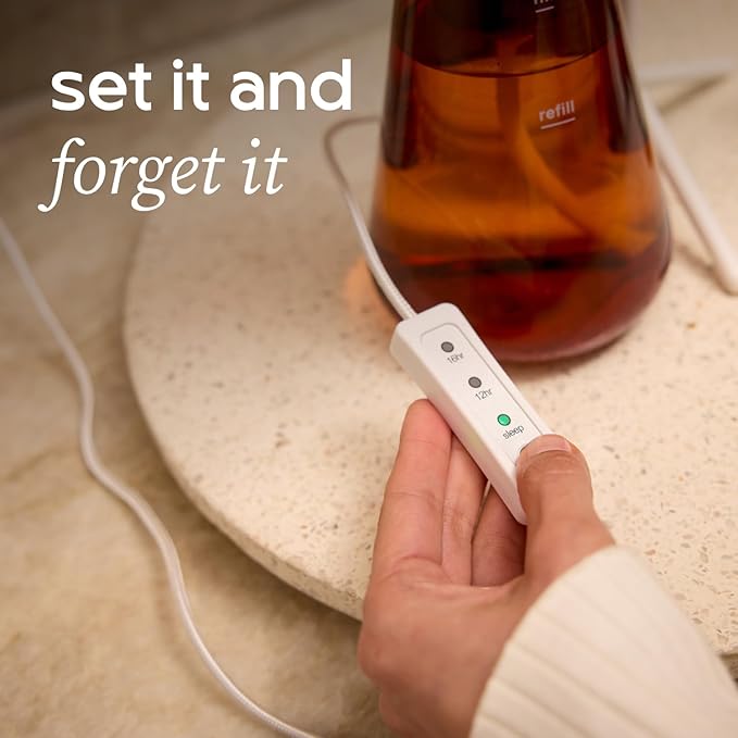 Counterstand Set – Vase Plant for Indoor Edible Garden Kit for Herbs & Lettuce – Small-Space Hydroponic System – Home Decor & Gifting – Without Live Plants