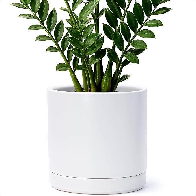 D'vine Dev 8 Inch Ceramic Planter Pot with Drainage Hole and Saucer, Indoor Cylinder Round Planter Pot, White, 94-O-D-1