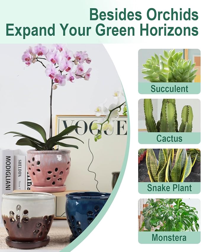 vensovo 5 Inch Ceramic Orchid Pots with Holes and Saucers - 1 Pcs Small Succulent Pot for Repotting, Garden Flowerpots for Plants Indoor and Outdoor Promotes Air Circulation, Pink