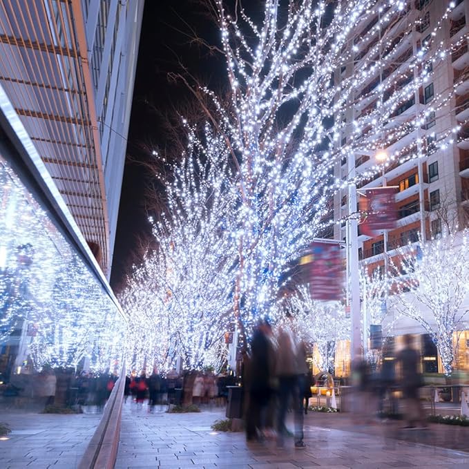 Fairy Lights Plug in,66FT 400 LEDs Waterproof String Lights,Twinkle Light with Remote for Outdoor Indoor Christmas Wedding Birthday Garden Party Decorations,2 Inch Space,Cool White