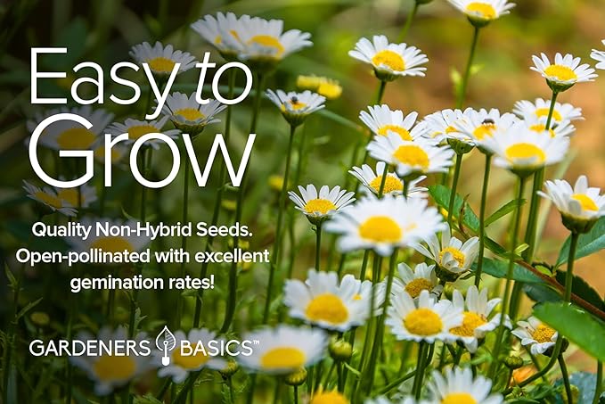 Gardeners Basics, Perennial Flower Seeds for Planting Outdoors (5 Variety Pack) Lupine, Columbine, Echinacea Purple Coneflower, Black Eyed Susan, Shasta Daisy for Pollinators Wildflower Seed