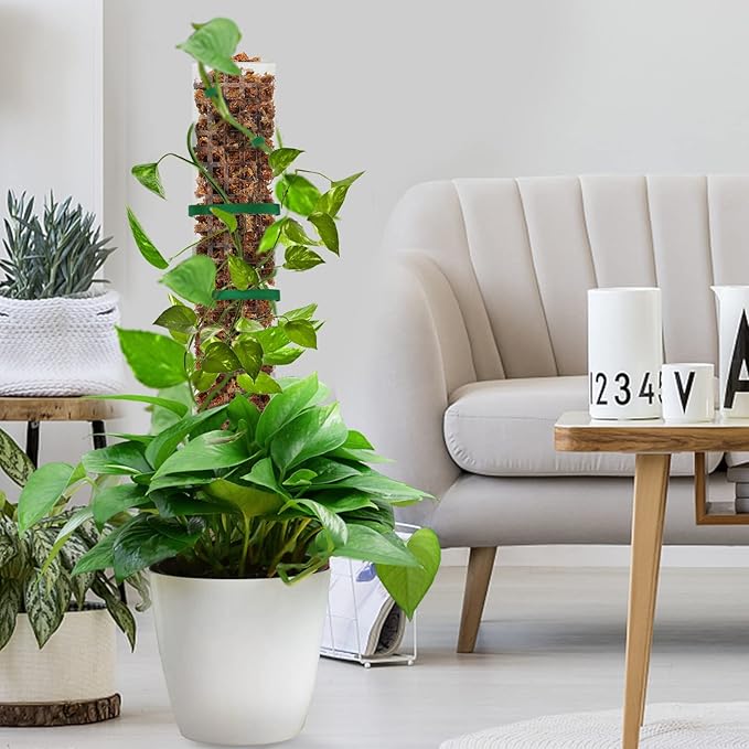 EOX 8 Pcs 24 Inch Plastic Moss Pole for Plants Monstera, Plant Poles for Climbing Plants, Plant Support for Indoor Plants Work with Sphagnum Moss, Garden Ties