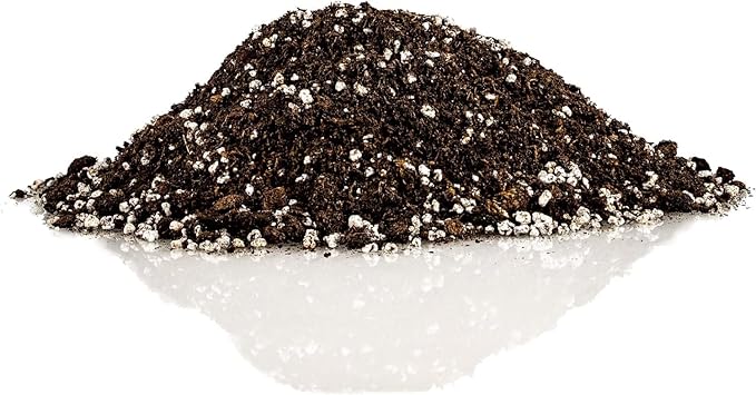 Premium Jade Plant Potting Soil Mix - (2 Quart Bag)