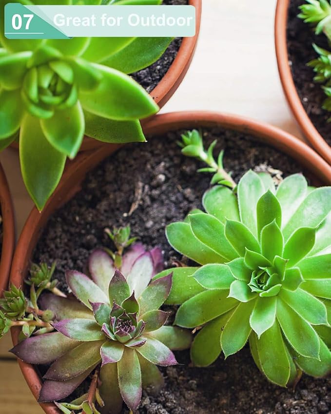 vensovo 4.5 Inch Terracotta Shallow Succulent Pots - 6 Pack Terra Cotta Clay Pot with Saucer, Cacuts Indoor and Outdoor Planters with Drainage Hole