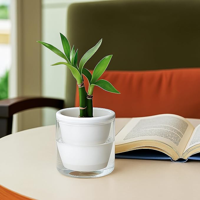 D'vine Dev 4 Inch Design Self Watering Planter for Indoor Plants, White Terracotta Pots with Cylinder Glass Cup, Set of 3, 37-Z-A-2-T