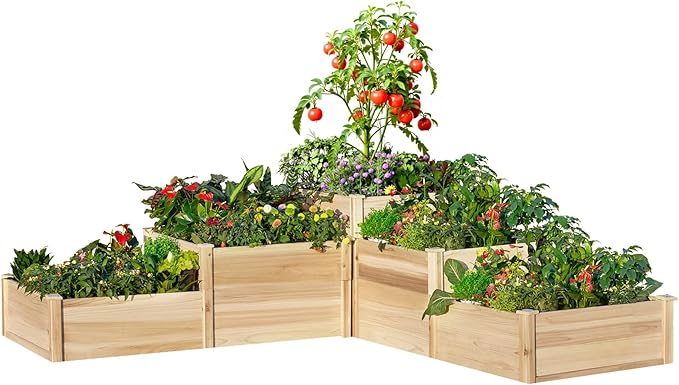 AMERLIFE 3-Tier Raised Garden Bed for Outdoor Gardening, Fir Wood Planter Box with Dividers, Tool-Free Assembly, Garden Box Perfect for Vegetables, Herbs, and Flowers