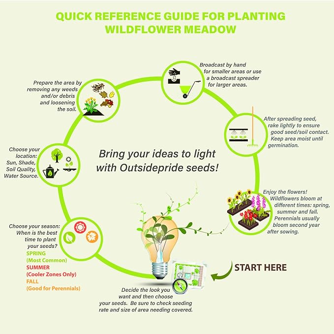 Outsidepride Lacy Phacelia Seeds for Planting - 1/4 Lb Annual, Drought-Tolerant Wildflower Seeds with Light Violet Flowers, Ideal for Pollinator Gardens, Erosion Control, & Attracts Bees & Butterflies