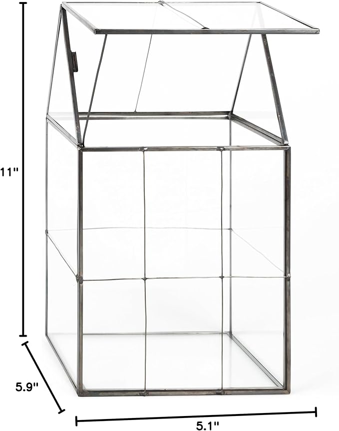 D'Eco Glass Geometric Plant Terrarium (6"x5"x11") - Indoor Tabletop Black Hinged Roof Planter Terrarium for Succulents, Air Plants, Moss - Home, Garden, Wedding & Office Decor- Gift for Plant Lovers