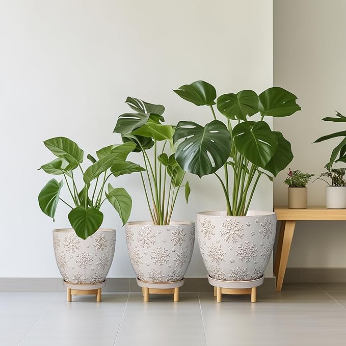 6 Inch Plant Pot with Drainage Hole and Saucer Ceramic Planter for Indoor Plant Flower Pot for Orchid Succulents Plants White