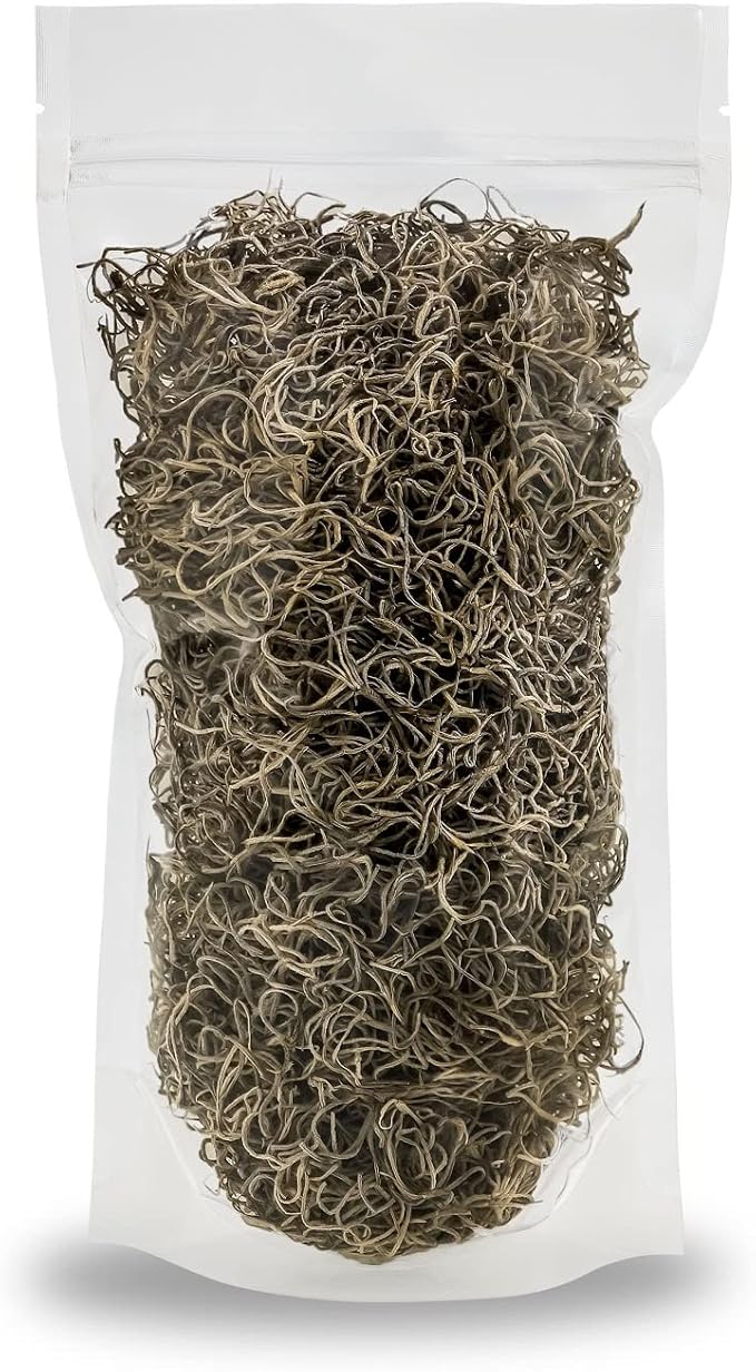 Premium Natural Spanish Moss | Natural Preserved - Great Ground Cover - Filler for Potted Plants - by GARDENERA - 2 Quart Bag