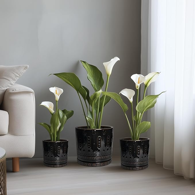 Ceramic Plant Pots - 6 Inch Ceramic Planter for Indoor Outdoor, Round Flower Pots with Drainage Hole and Plant Saucer, Boho Decorative Small Planter, House Decor, Gifts for Gardeners, Black