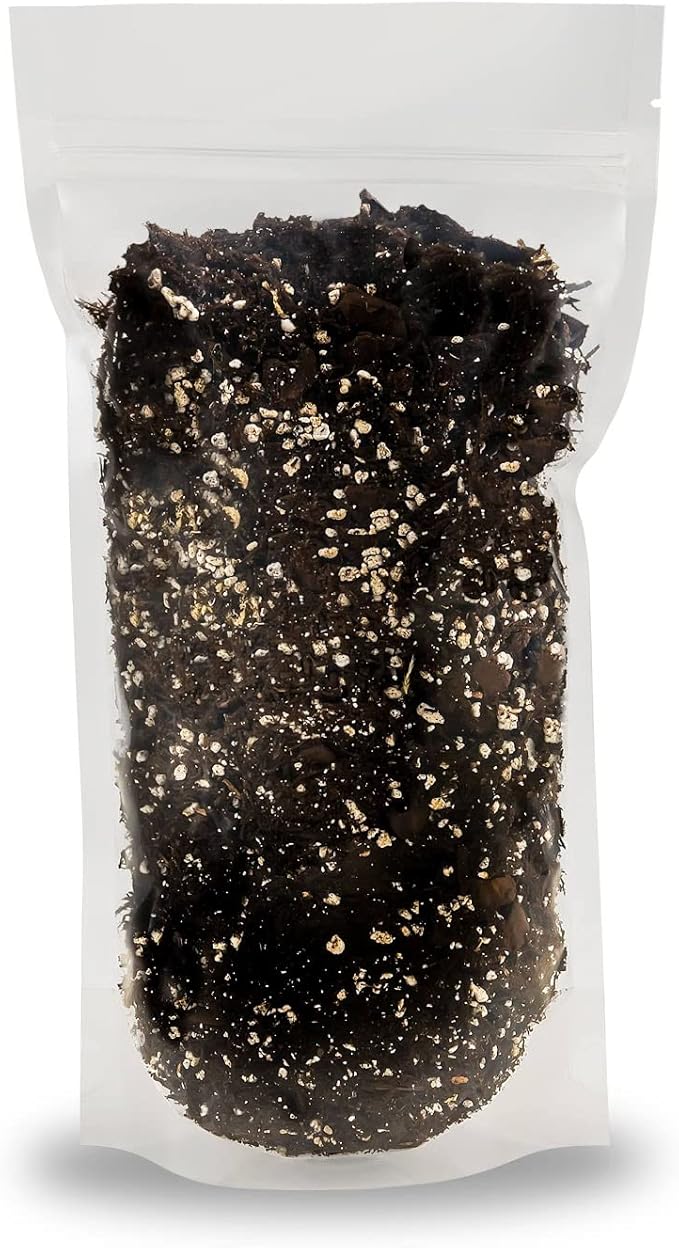 Premium Gardenera House Plant Potting Mix | Fern + New Zealand Bark + Perlite | Great for Pothos, Spider Plants, Montsera, Philodendron, English Ivy - 1 Quart Bag