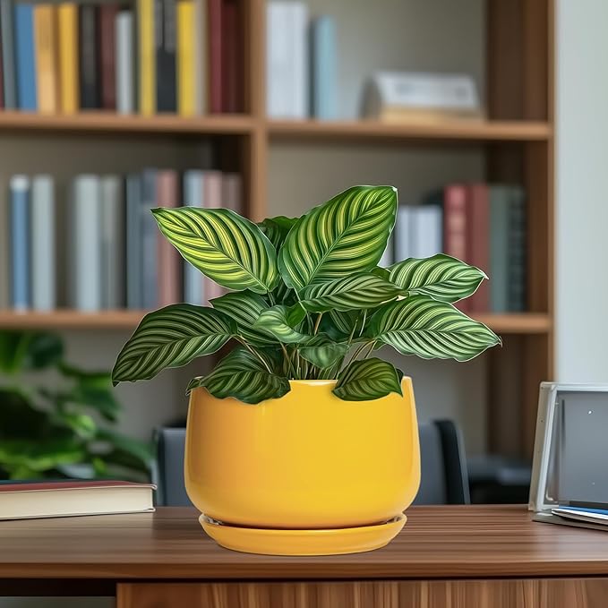 G EPGardening Ceramic Pots for Plants - 7 Inch Plant Pot with Drainage Hole and Saucer, Modern Ceramic Planter for Indoor Outdoor, Round Flower Planter, Gifts for Plants Lovers, Home Decor, Yellow