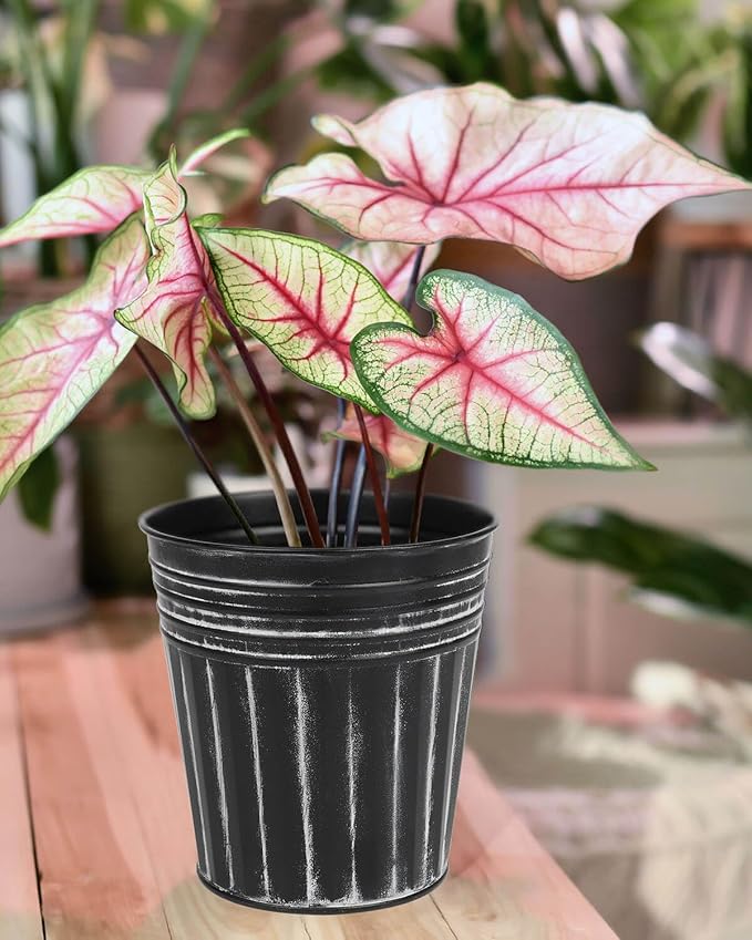 vensovo 7 Inches Black Metal Rustic Flower Pots - 6 Pcs Medium Galvanized Planters with Drainage Hole and Rubber Plug, Rustproof Tin Bucket Plant Pot Farmhouse Vintage Style for Decor