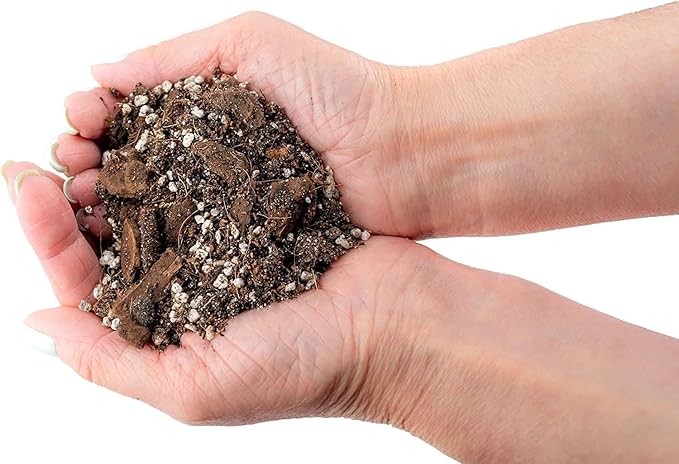 Premium Banana Tree Potting Mix - Expertly Formulated Blend for Optimal Growth and Fruit Production - Ideal for All Varieties of Banana Trees (2 Quart)