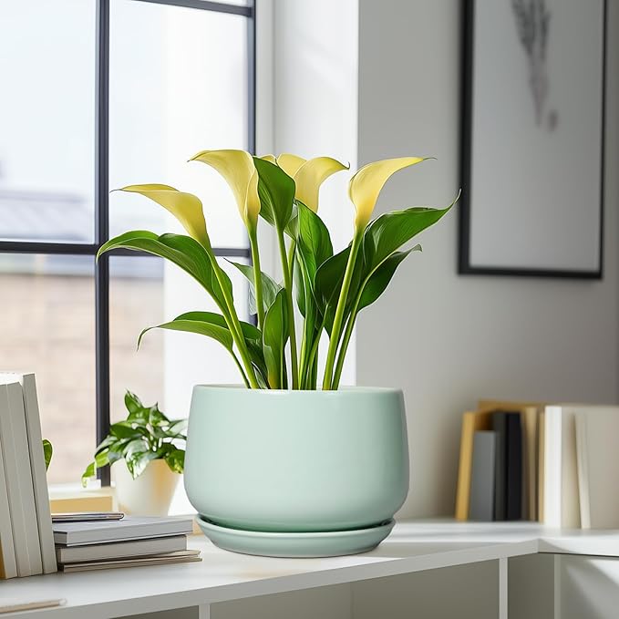 G EPGardening Ceramic Pots for Plants - 9 Inch Ceramic Planter with Drainage and Saucer, Round Planter for Indoor Outdoor Plants, Modern Flower Pots, Garden Decor, Birthday Gifts, Green