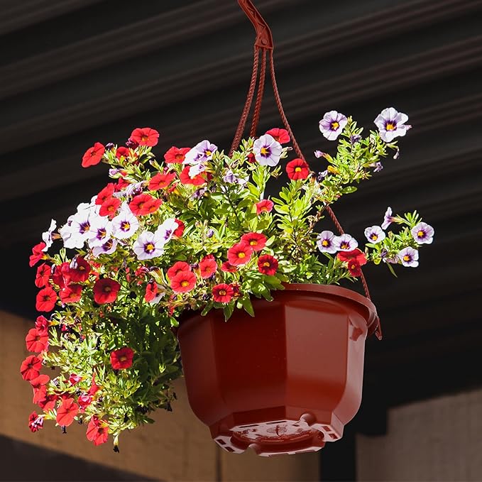 Roshtia 24 Pcs Hanging Plastic Planter Pot with Hook Flower Pots Baskets Hanging Nursery Planter Holder for Outdoor Indoor Plant Garden(Brown,6.7 Inch)