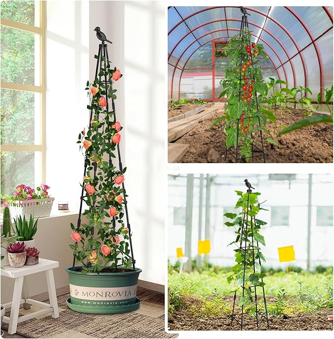 2 Pack Garden Obelisk Trellis for Climbing Plants Outdoors, 65 Inch Rustproof Plant Stand Climbing Support with Adjustable Heights for Indoor Potted Plants, Vines, Flowers Stands, Vegetables