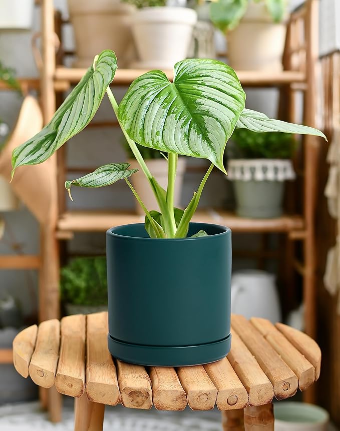 D'vine Dev 6 Inch Ceramic Planter Pot with Drainage Hole and Saucer, Indoor Cylinder Round Planter Pot, Teal, 94-O-C-9