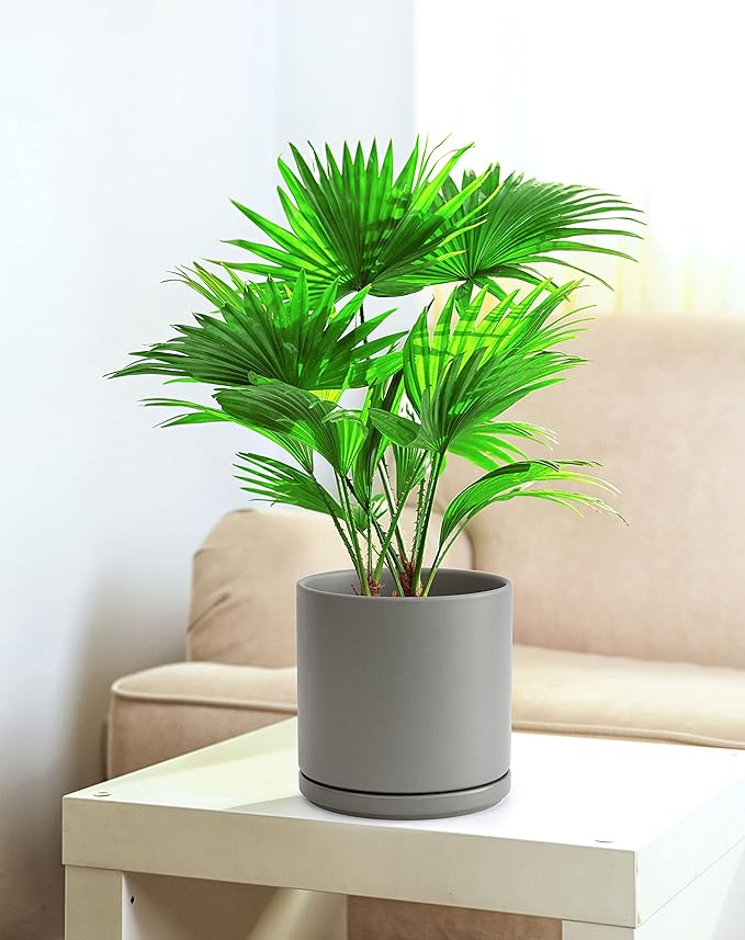 Set of 2 Plants Pots, 8 Inch Ceramic Planter Pot for Plants with Drainage Hole and Saucer, Speckled Grey, 94-V-D-3