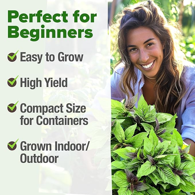 HOME GROWN Thai Basil Seeds Pack - 876 High Germination π‘π’π‘-ππ π’ π¨π¦π Heirloom Herb Seeds for Planting,Ideal for Growing Fresh Basil Planting Indoor or Outdoor(Ocimum basilicum var.thyrsiflora)