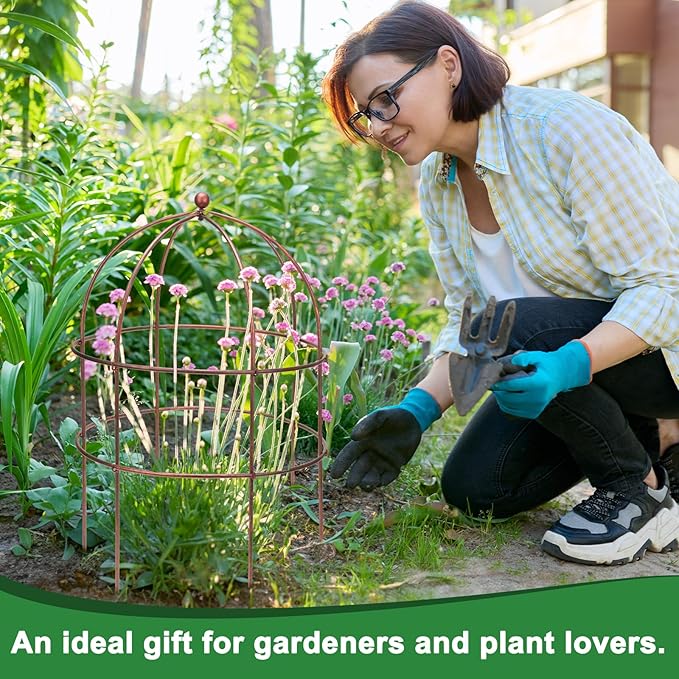 4 Pcs Jardin Bird Cage Plant Support 25" H Large Sturdy Grow-Through Flower Support Peony Cage Climbing Plant Support Trellis Sculptural Garden Decor for Perennial Flowers Vintage Gold