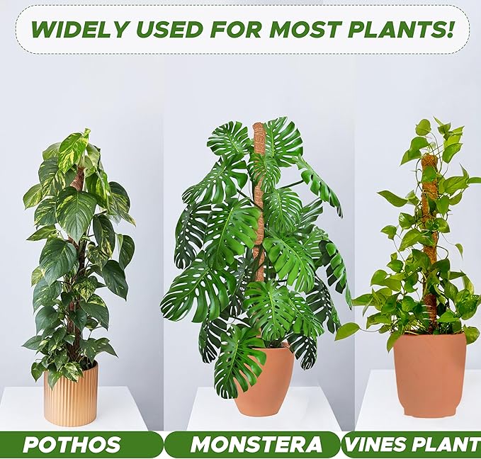 EcoNour 28" 2 Pack Moss Pole | Moss Pole Monstera Plant Support | Plant Sticks for Indoor Climbing Plants | Support for Potted Plants Like Pothos, Philodendrons, and More