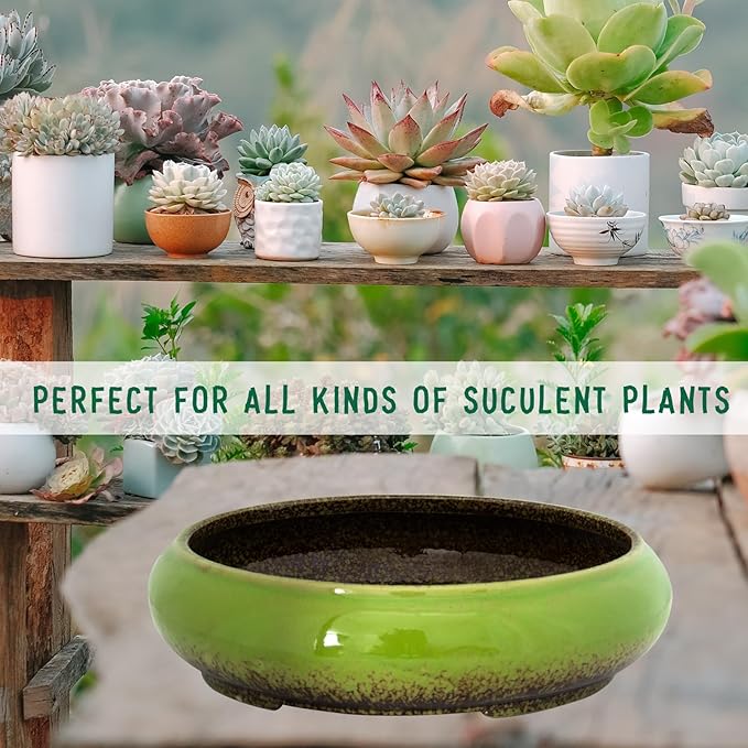Succulent Pots - 11.5 Inch Ceramic Bonsai Pots with Drainage, Large Shallow Succulent Planters for Indoor Outdoor Plants, Round Glazed Cactus Flower Plant Container Bowl Home Desk Decor(Green)