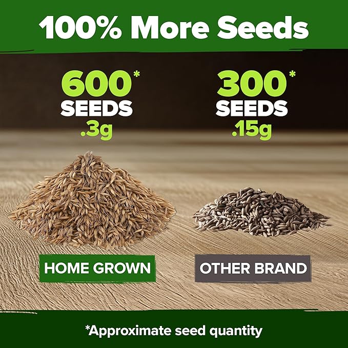 HOME GROWN π¨π¦π π£π₯ππ ππ¨π Dandelion Seeds for Planting β 600 Heirloom Medicinal Herb Seeds (~0.3g) π‘π’π‘-ππ π’ Grow Edible Leaves and Flowers for Remedies or Wildlife (Taraxacum officinale)