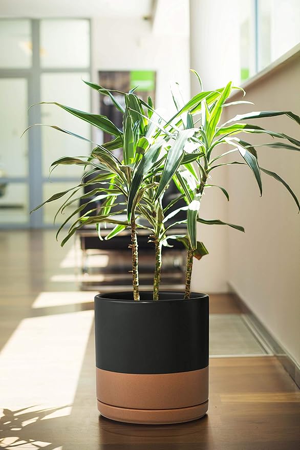 D'vine Dev 6 Inch & 8 Inch Ceramic Planter Pots for Plants with Drainage Hole and Saucer, Medium Plant Pots Set, Black/Speckled Tan, 94-G-M-7
