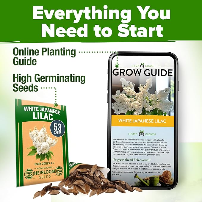 HOME GROWN π¨π¦π 53 White Lilac Flower Seeds Non-GMO, Heirloom Tree Seeds for Planting, Fragrant Flowering Tree Seeds for Landscaping, Pollinator Gardens, and Ornamental Borders (Syringa reticulata)