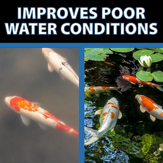 CrystalClear Barley Extract Water Garden & Fountain Clarifier, Natural Liquid Concentrate to Treat Cloudy Ponds, Koi Fish, Plant & Pet Safe, 1 Gallon