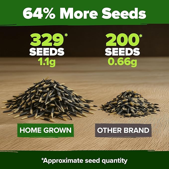 HOME GROWN π¨π¦π π£π₯ππ ππ¨π Petite French Marigold Seeds 329+ Flower Seeds for Planting Outdoors Easy to Grow Companion Plant & Quick Blooming Pollinator Heirloom Wildflower Seed (Tagetes patula)