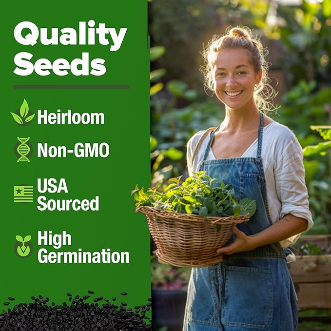 HOME GROWN π¨π¦π π£π₯ππ ππ¨π Lemon Balm Seed Pack - 403 Non-GMO USA Heirloom Herbal Tea Seeds - Bulk Lemon Balm Seeds for Planting Gardens Indoors or Outdoors - Herb Seeds (Melissa officinalis)