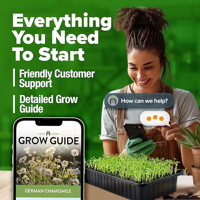 HOME GROWN π¨π¦π π£π₯ππ ππ¨π German Chamomile Seed Pack β 2,280 π‘π’π‘-ππ π’ Heirloom Seeds for Planting for Sustainable Gardens and Soothing Medicinal Herbal Teas (Matricaria chamomilla)