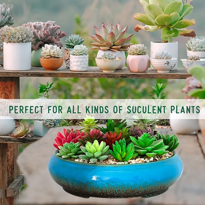 Succulent Pots - 11.5 Inch Ceramic Bonsai Pots with Drainage, Large Shallow Succulent Planters for Indoor Outdoor Plants, Round Glazed Cactus Flower Plant Container Bowl Home Desk Decor(Blue)