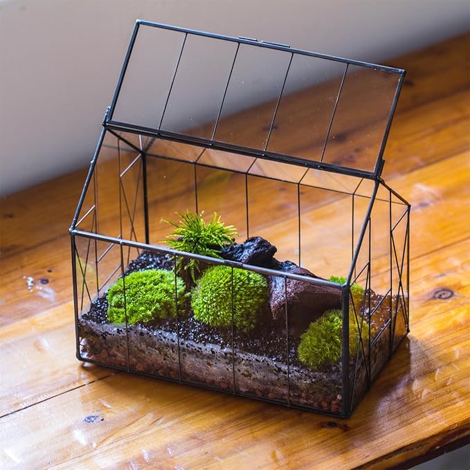 NCYP Geometric Glass Terrarium with Lid for Succulent, Small Cactus - Handmade Clear Closed House Shape Box - Home Indoor Tabletop Garden Decor, Black 9.4" x 5.5" x 7.3" (No Plants)