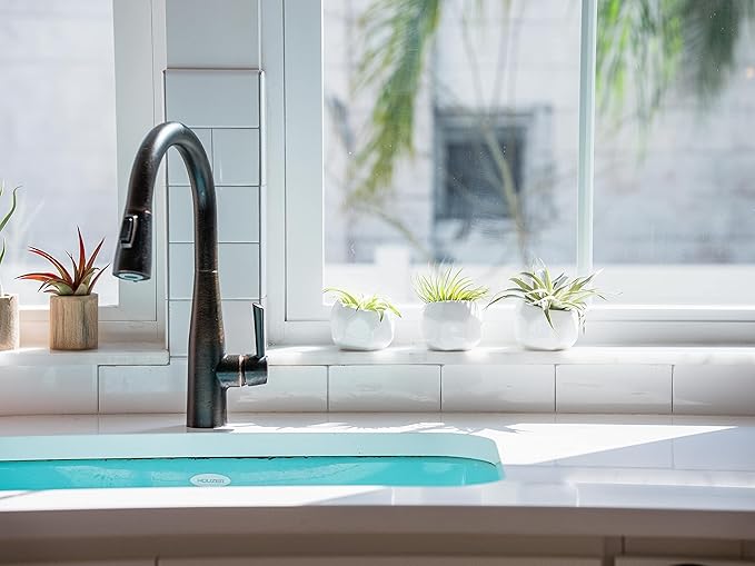 Air Plant Shop 30 Pack Tillandsia Air Plant Grab Bag of Premium Medium & Large Plants- Wholesale and Bulk - Succulents - Live Tillandsia - Easy Care Indoor and Outdoor House Plants