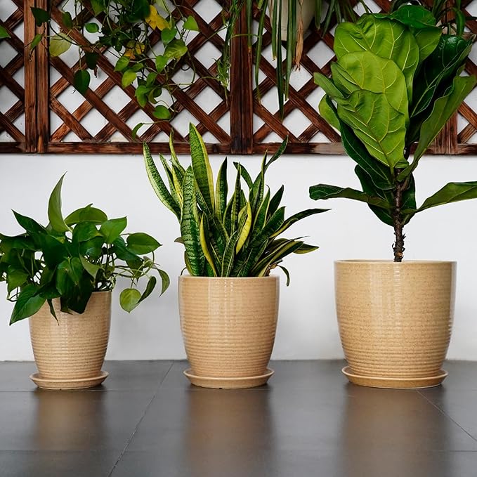 Ceramic Plant Pot 12 Inch - Large Planter for Indoor Plants Outdoor Flower Pot with Drainage Hole and Saucer Round Decorative Planter for Home Patio Garden Balcony Yellow