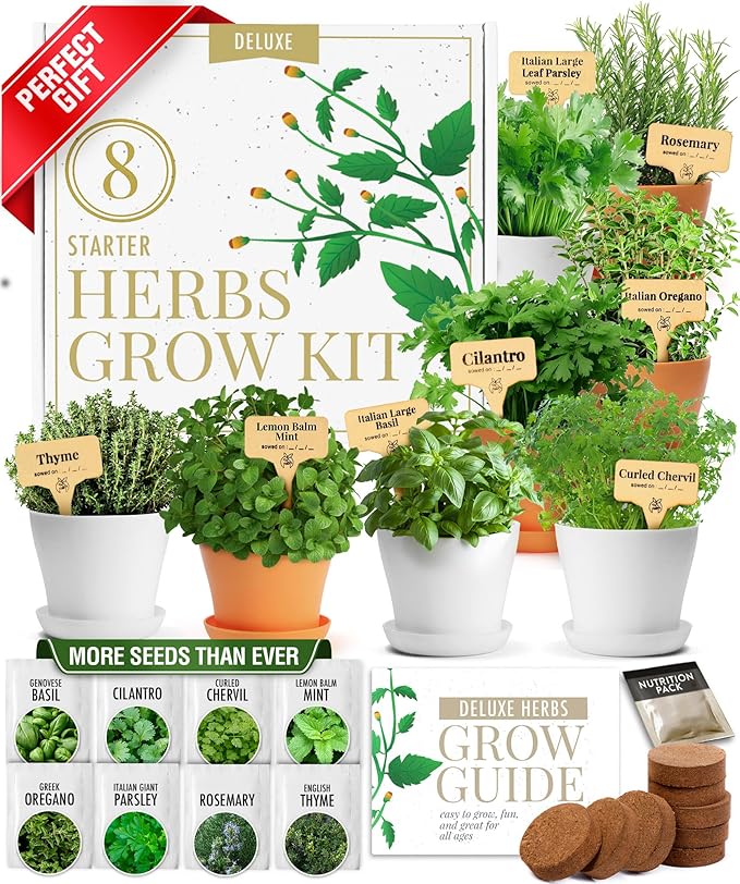 HOME GROWN π£π₯ππ ππ¨π πππ₯π πππ§ 8 Herb Seeds Garden Kit, Complete Indoor Planter Gift with Basil Cilantro Mint & More, Unique Kitchen Growing Set for Women Men, Birthday Housewarming Present
