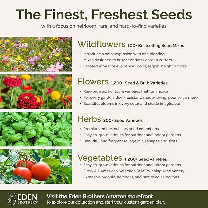 Eden Brothers Fairytale Flower Mixed Seeds for Planting, 1/4 lb, 120,000+ Seeds with Calendula, Cosmos Dazzler, Cornflower, Attracts Pollinators, Plant in Spring or Fall, Zones 3, 4, 5, 6, 7, 8, 9, 10