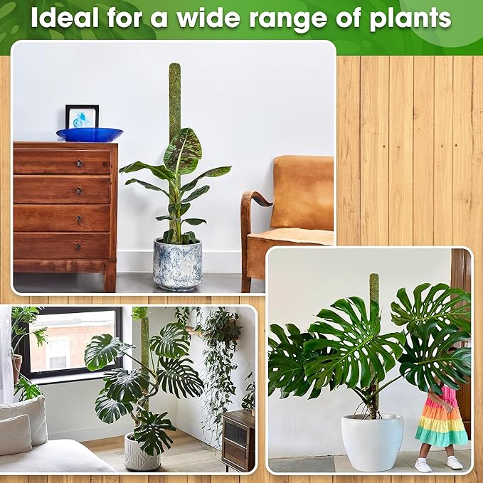 DUSPRO 59ββ Large Green Mesh Moss Pole Monstera Plant Support, Tall Plant Stakes, Moss Pole for Plants Monstera, Garden Pole, Moisture Stick for Plants (1pc., 59''), Natural