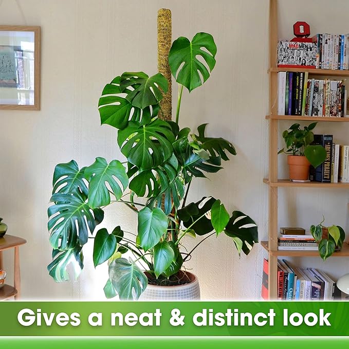 DUSPRO 59 Inches Non-Bendable Pole for Big Plants, Large Moss Pole for Plants Monstera, Plant Stakes for Indoor Plants, Monstera Plant Support, Plant Pole for Big Climbing Plants Indoor (1pc., 59'')